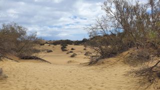 2023-GC--Mapalomas dunas-S123-007.jpg